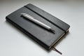 Dichromatic Pen
