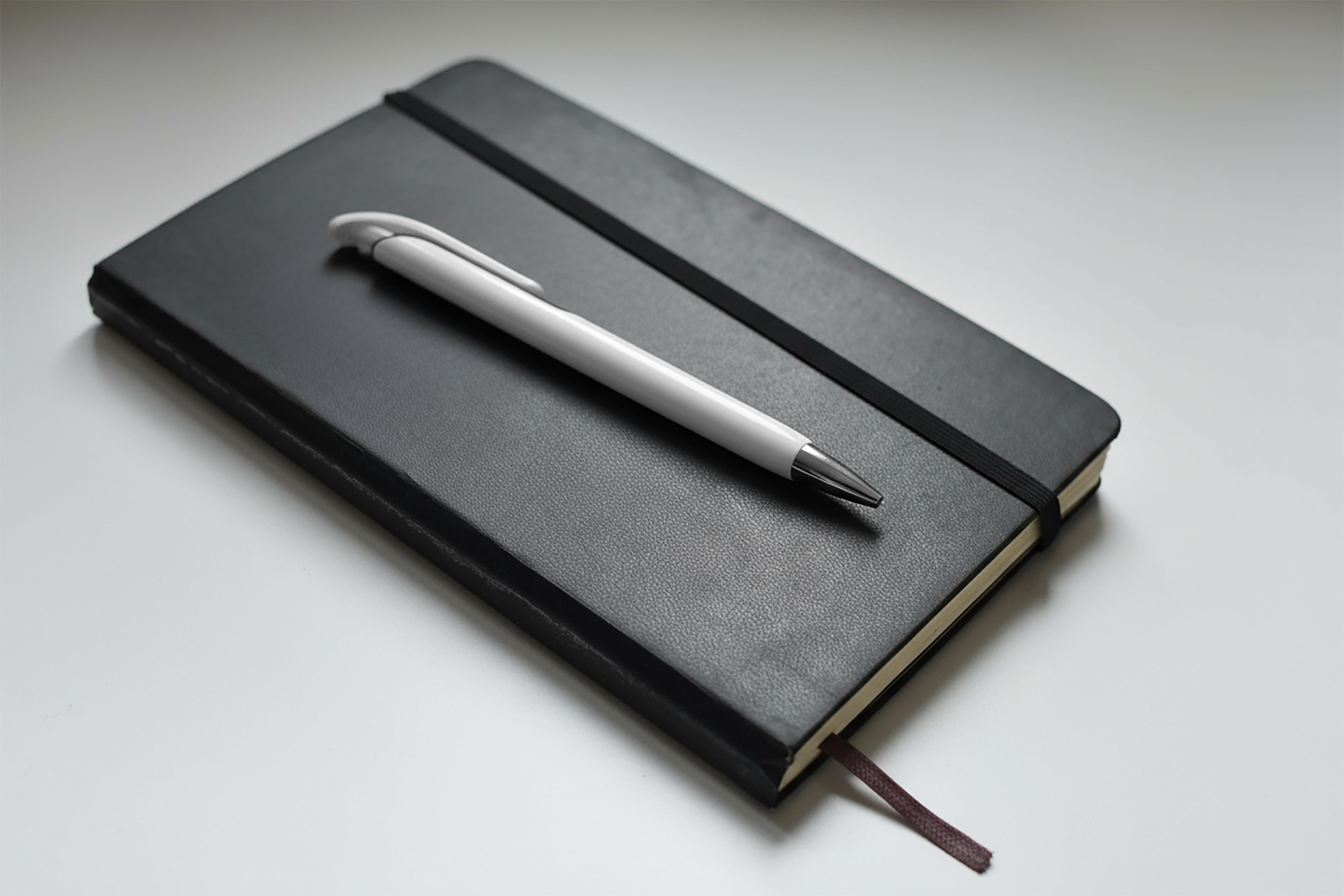 Dichromatic Pen